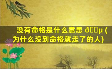 没有命格是什么意思 🌵 (为什么没到命格就走了的人)